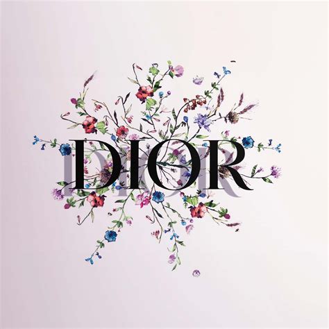 dior goedkoop